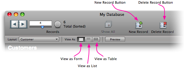 The standard Status toolbar in FileMaker Pro 10